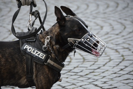 You are currently viewing History Of Police Dog Training