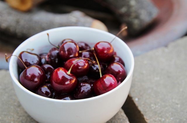 You are currently viewing Are Cherries Good For Dogs? Facts to Know